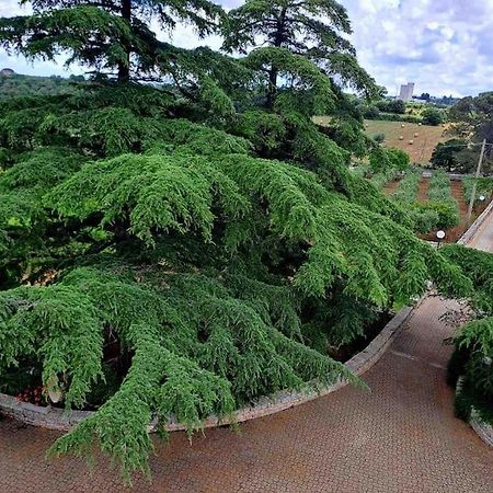 普蒂尼亚诺Casina Foggia Dell'Albero公寓 外观 照片