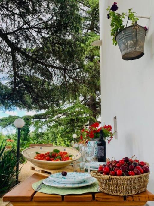 普蒂尼亚诺Casina Foggia Dell'Albero公寓 外观 照片