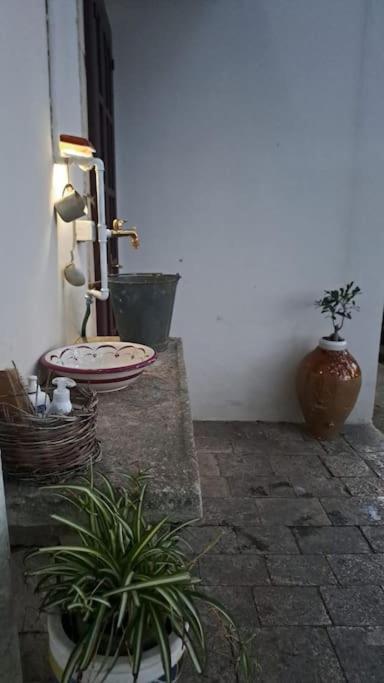 普蒂尼亚诺Casina Foggia Dell'Albero公寓 外观 照片